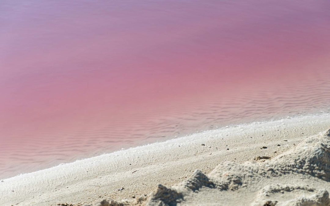 El postureo de Las Coloradas