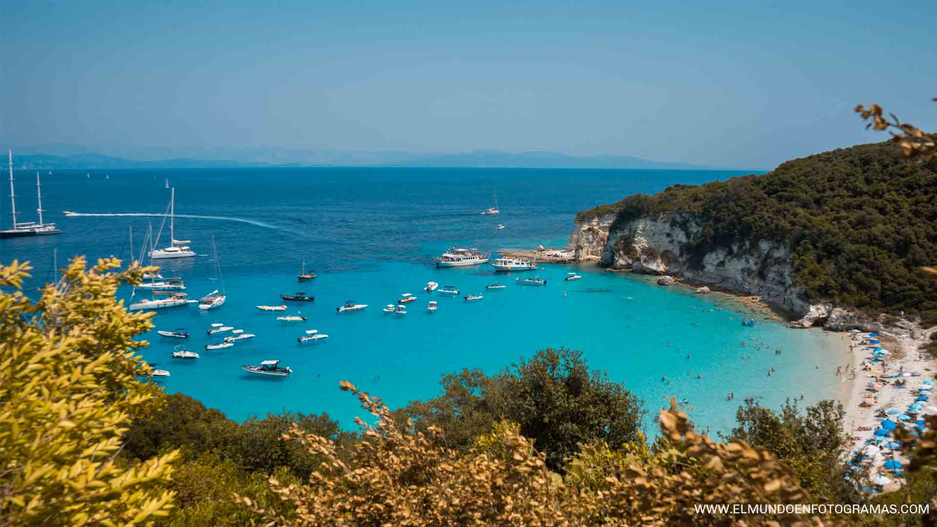 antipaxos