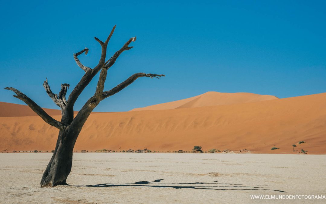 Fotogramas de Namibia