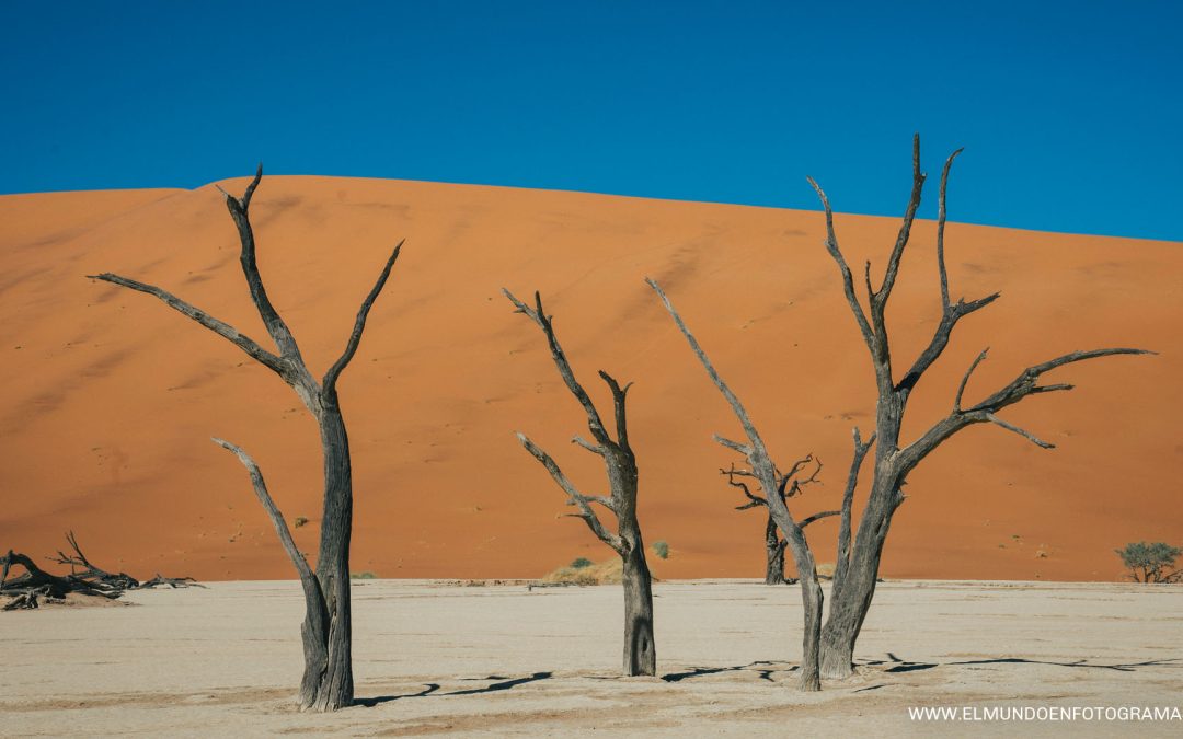 Qué ver en el desierto de Namibia