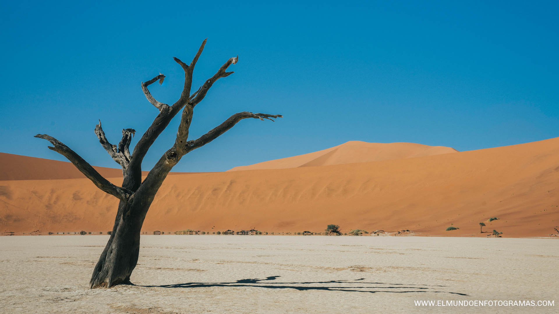 deadvlei-Namibia