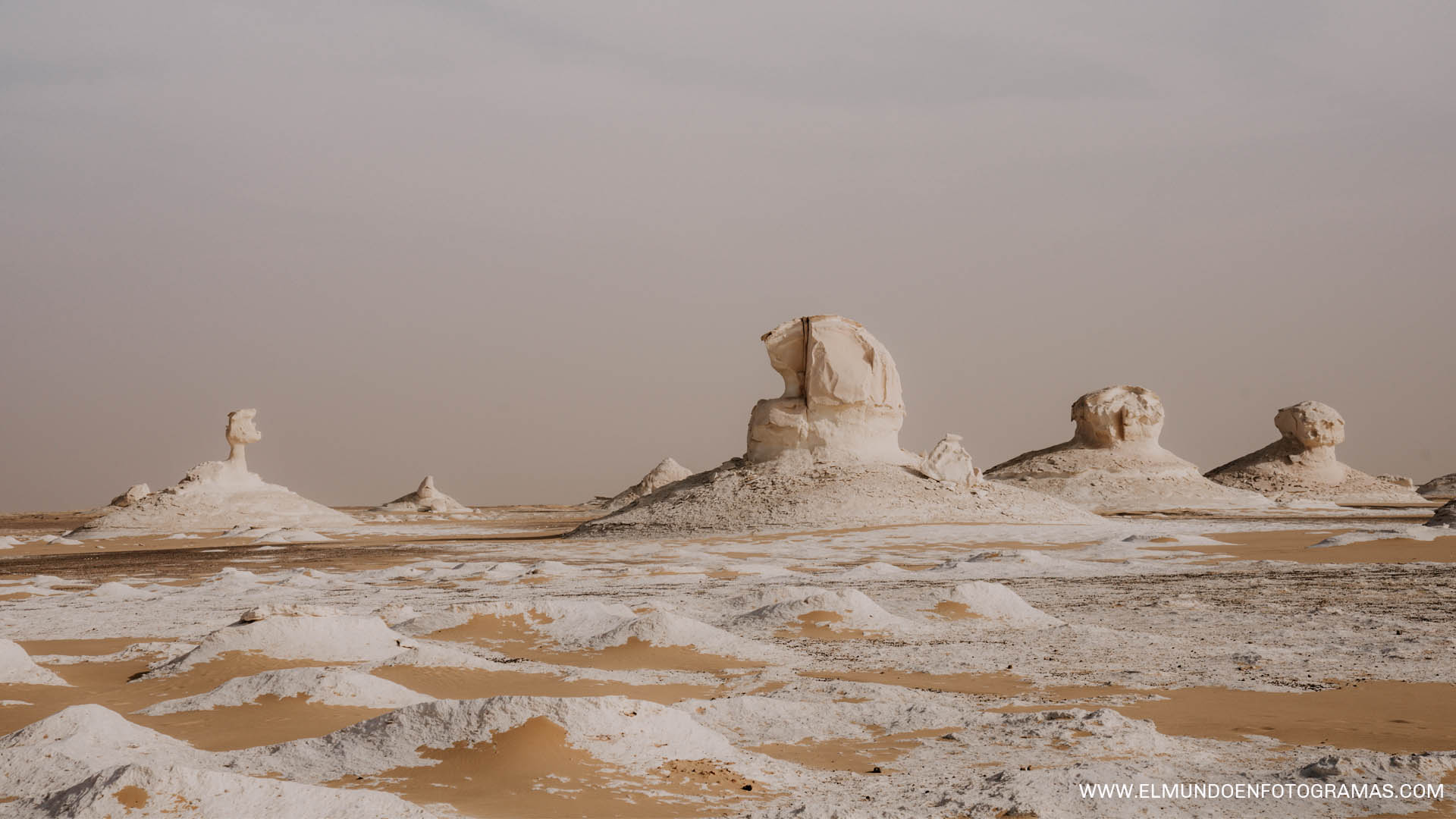 desierto-blanco