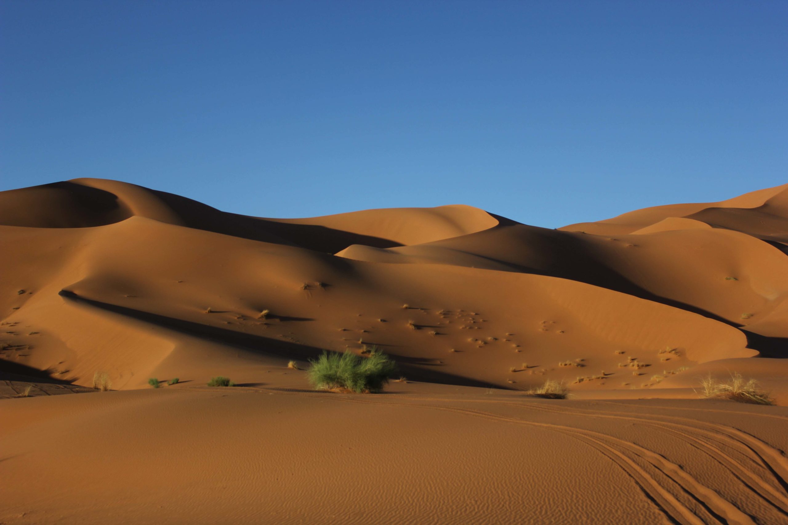 Las dunas de Merzouga - El mundo en fotogramas