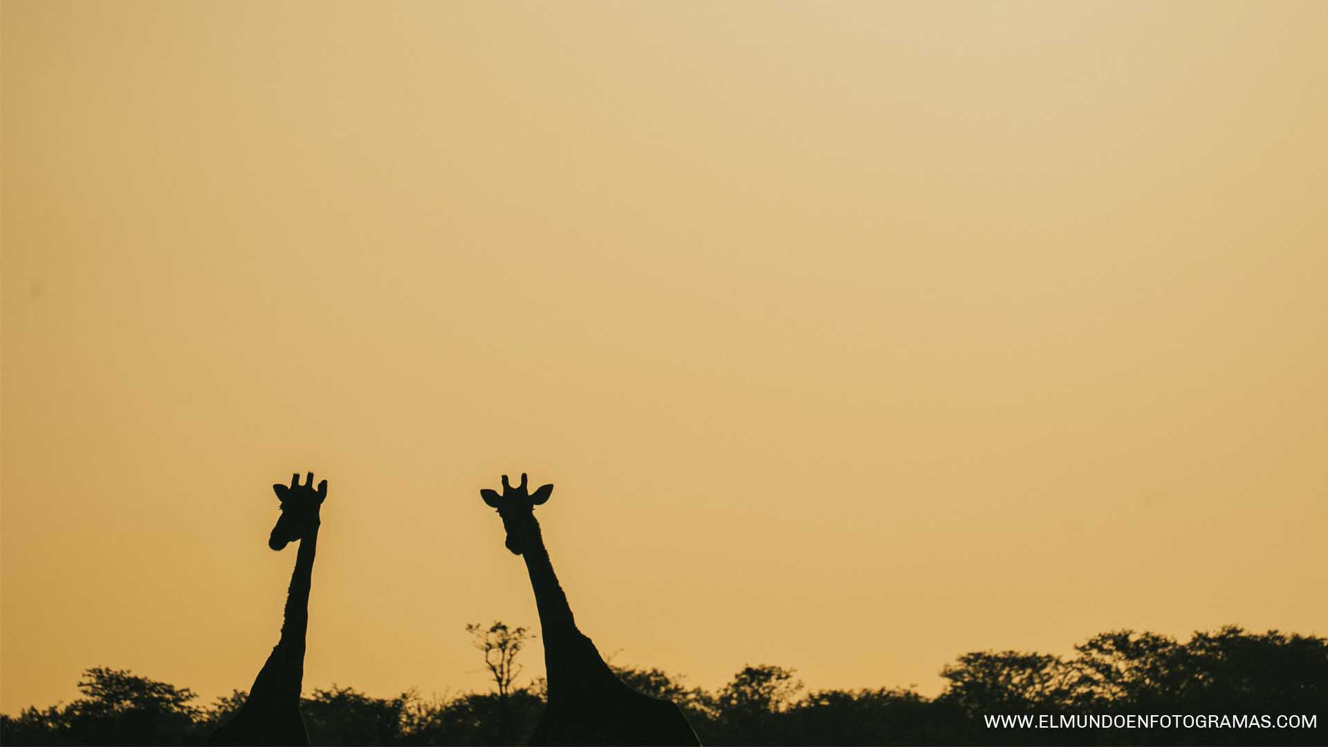 puesta-sol-etosha